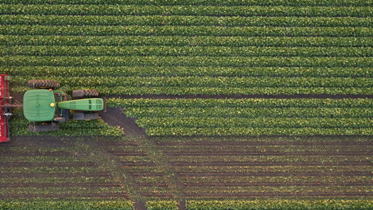 tractor in a field in the southern minn region