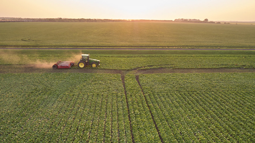 tractor in a sugarbeet field in the minn-dak region