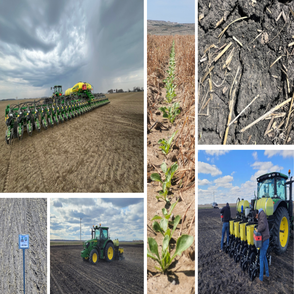 crop report update