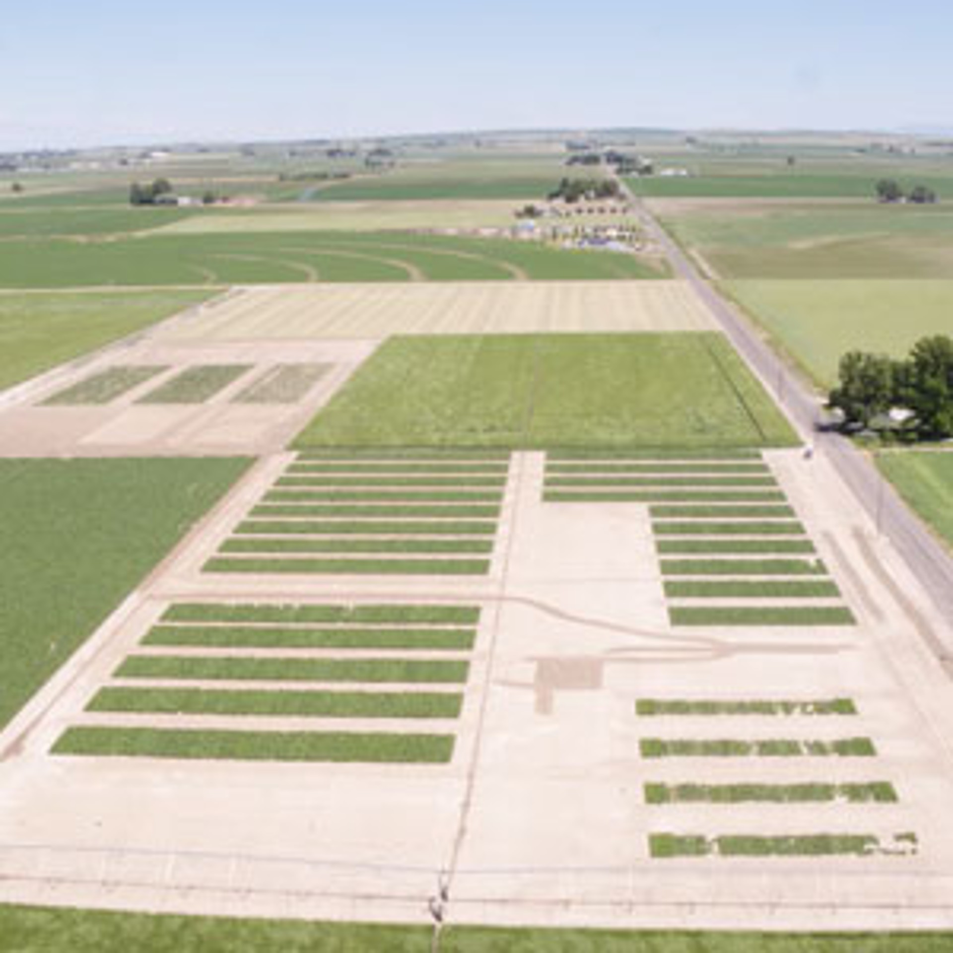 Experimental Hybrids