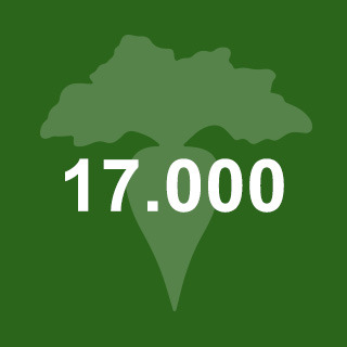 17000