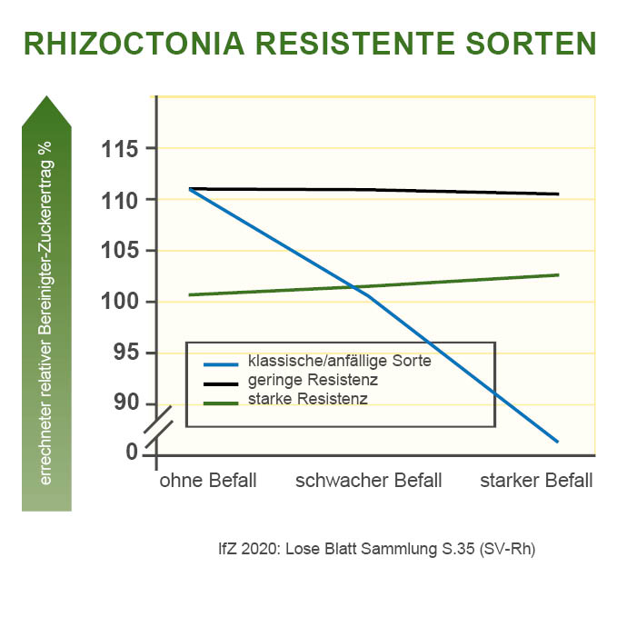 RHC- Rhizoctonia Resistente Sorten