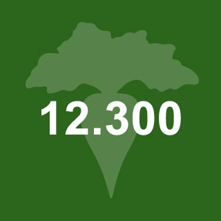 12300