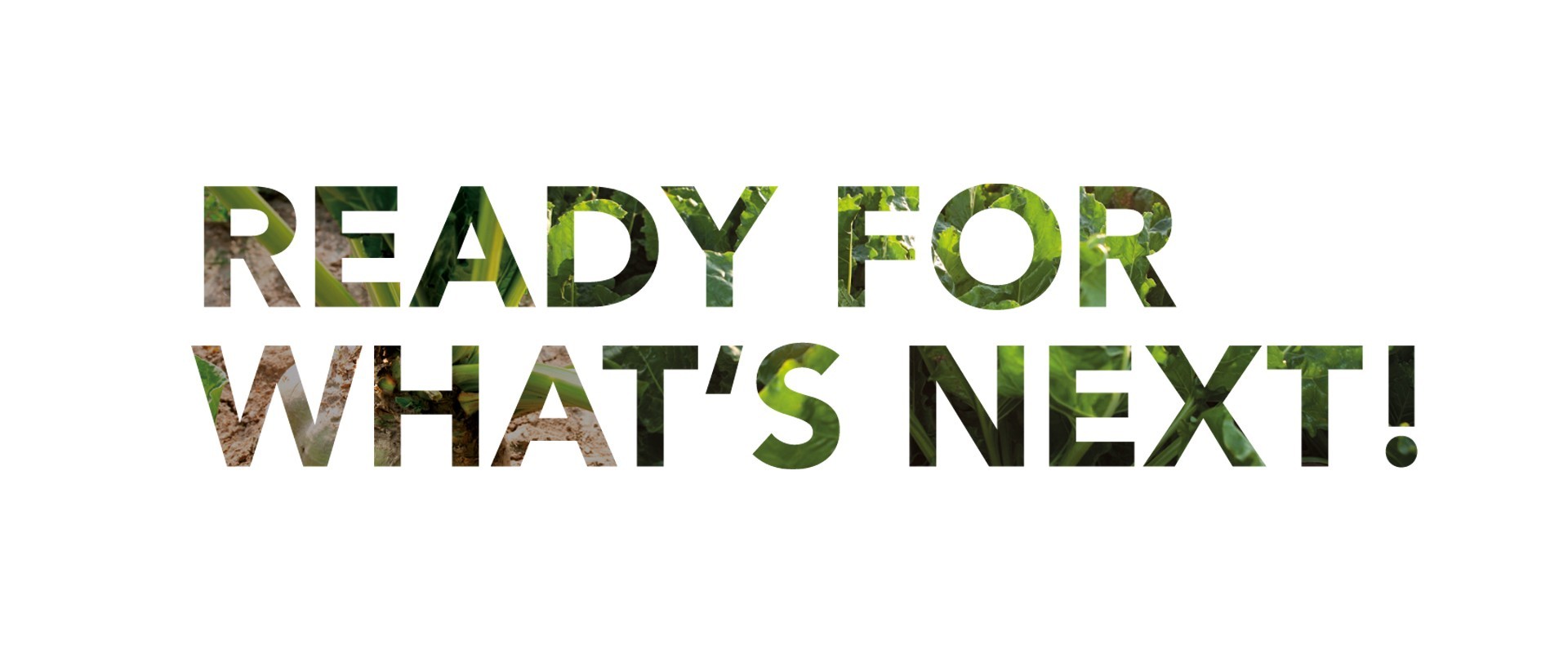 ready for whats next