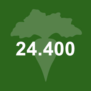 24400