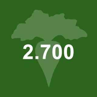 2700