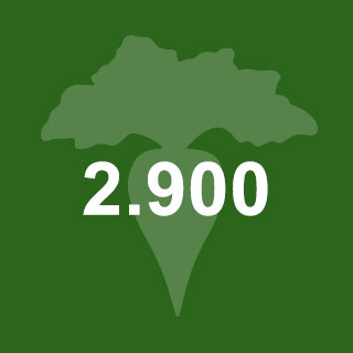 2900