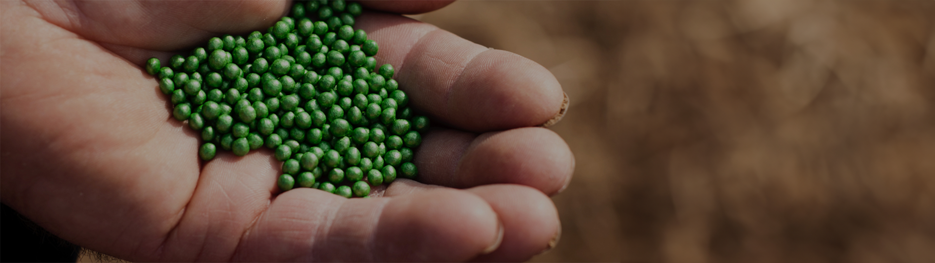 zdjęcie nasion w dłoni człowieka