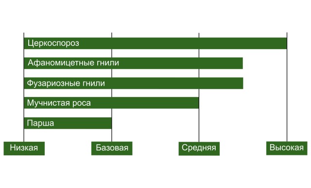 График BTS 5800