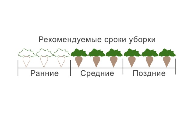 график BTS 705