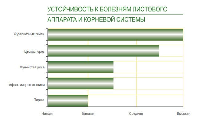 график