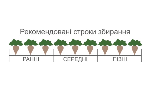 графічний БТС 2645
