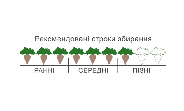 графічний БТС 4770