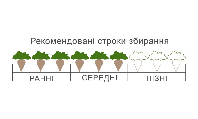 графічний БТС 2645